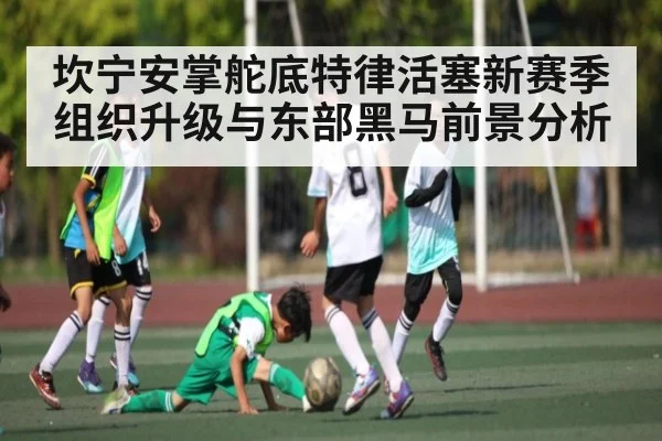 坎宁安掌舵底特律活塞新赛季组织升级与东部黑马前景分析