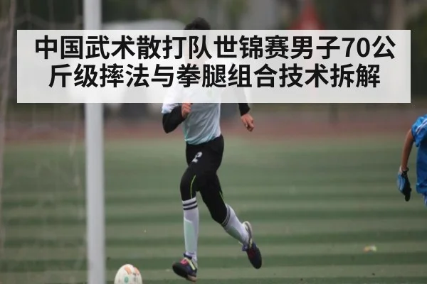 中国武术散打队世锦赛男子70公斤级摔法与拳腿组合技术拆解